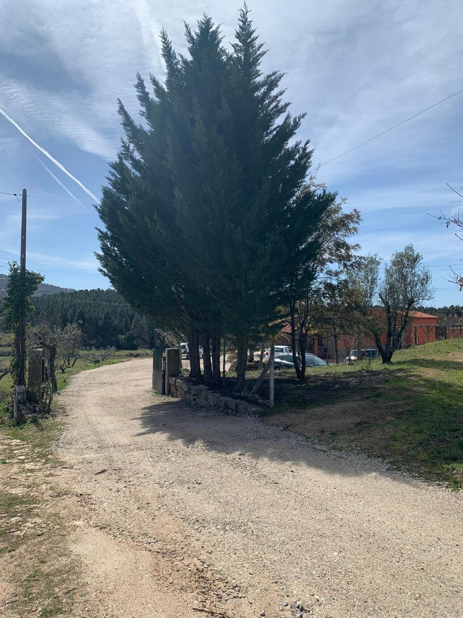 Quinta Dos Cedros L Turismo Rural Covilhã Exterior photo