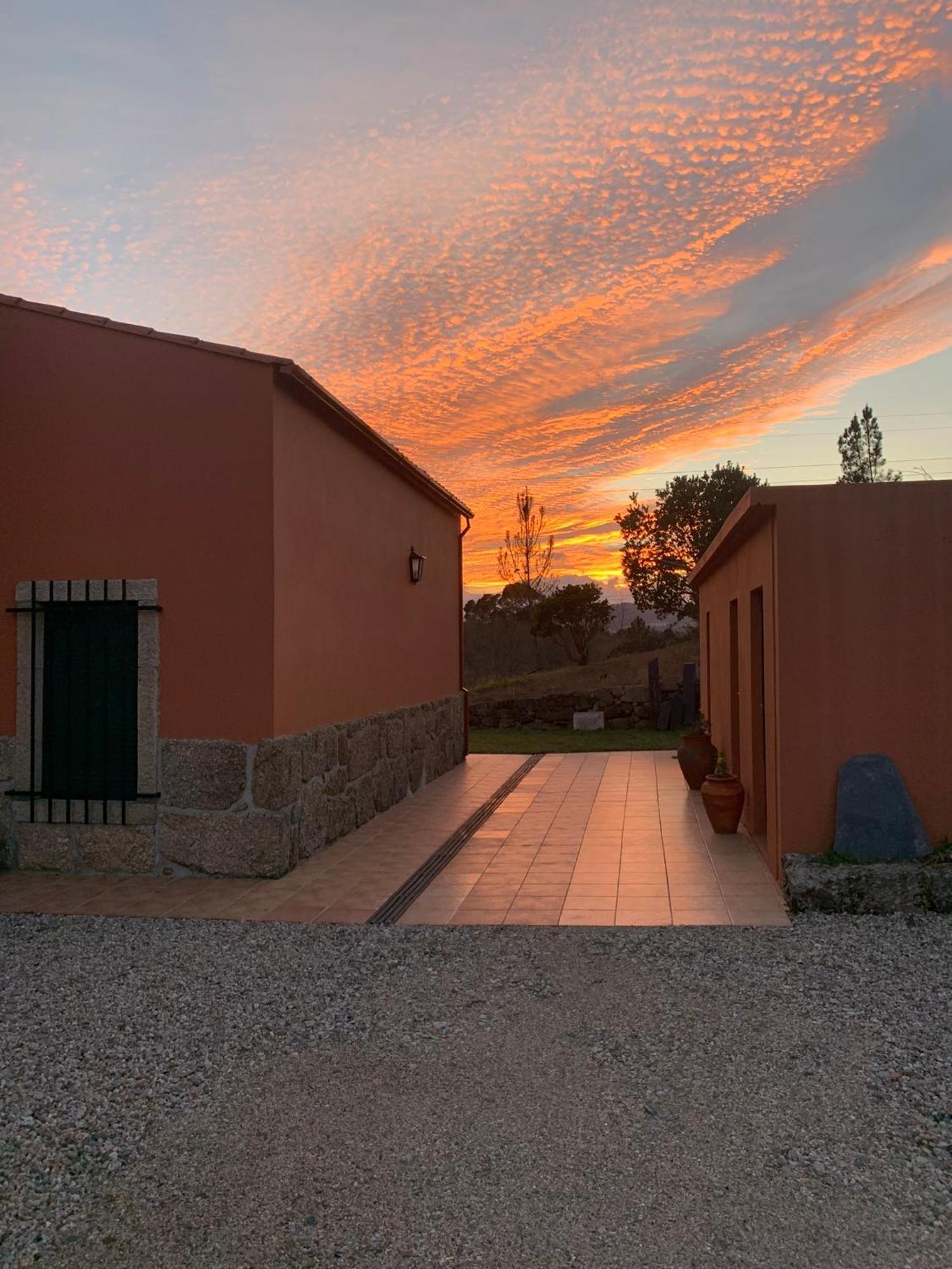 Quinta Dos Cedros L Turismo Rural Covilhã Exterior photo